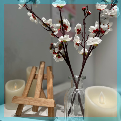 〈20代女性メイン〉初参加などで看護師/OLetc素敵職業・清潔感がある女性