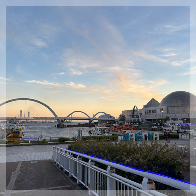 同年代！【20代限定！夏のナイトアクアリウム】