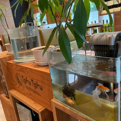 【アルコール飲み放題×お食事付き】大人数　カジュアルな飲みコンパーティー