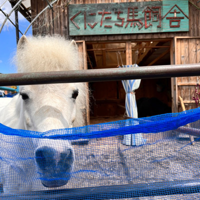 ＼自然の中でリラックス♪／恋する畑コン♡本格石釜ピザ作り体験！