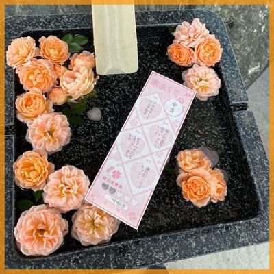 女性限定♡恋愛成就祈願♡【恋の３社巡り】