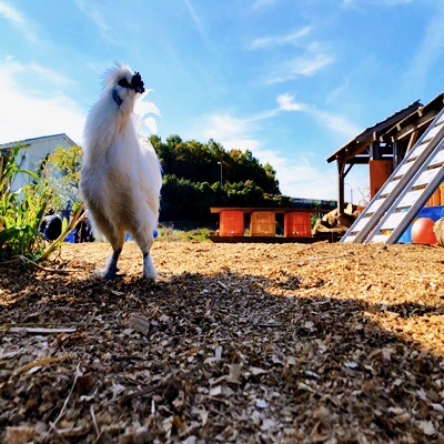 恋する畑コン★秋限定企画