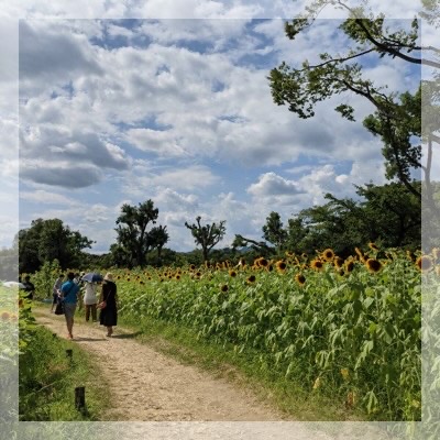 万博記念公園☆お散歩