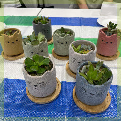 ＼多肉植物の寄せ植え体験／体験を通して自然と距離が縮まる♪