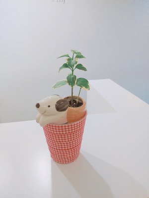 店長のこどもご紹介👶🍼