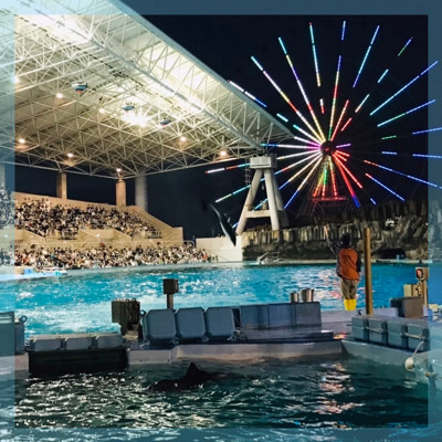 GW限定！ナイトアクアリウムコンin名古屋港水族館♡