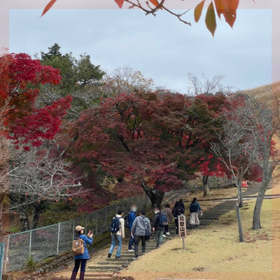 ＼ゆったり紅葉ハイキングin奈良の若草山／頂上からの眺めは別格！
