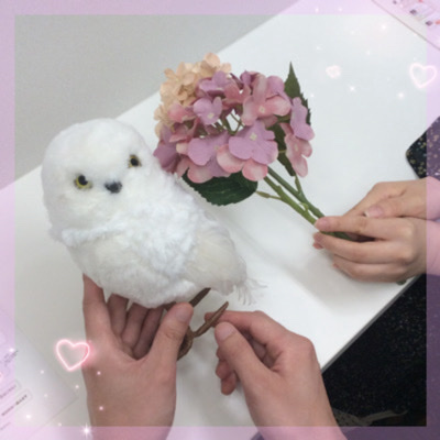 ＼初心者におすすめの企画／甘えられる大切にしてくれる高身長の彼氏♡