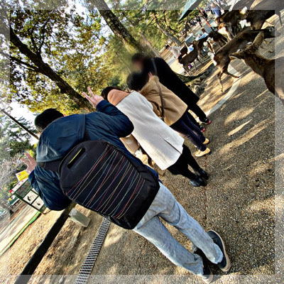 自然が広がる奈良公園＆東大寺を自由散策