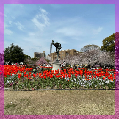 ～春の季節限定♡～桜を見ながら素敵な出会いin鶴舞公園