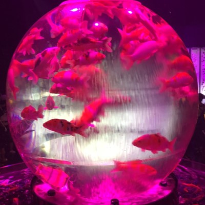 デート気分で出会うお散歩コン♡連絡先交換自由