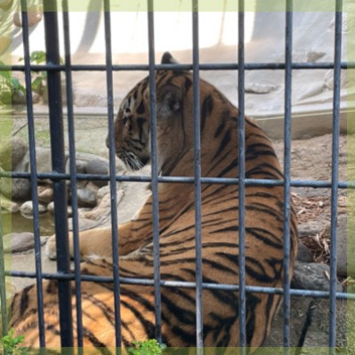 スタッフ同行なし！楽しみながら出会いたい方限定の動植物園コン！