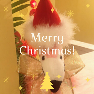 クリスマス当日🎄同年代婚活パーティー