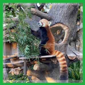 ＼まったり動物で癒される♡in 横浜／グループ散策♪《動物園おさんぽ》