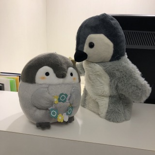 一目ぼれ注意！？高身長男性が勢ぞろい♡