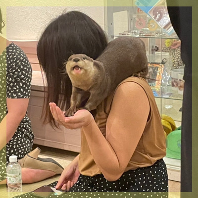 【開催決定】会場貸切♡京都カワウソカフェ
楽しく癒されながら距離が縮まる時間♪