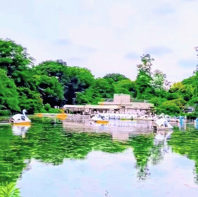 《1対1トーク付きお散歩コン♡井の頭公園》緑に囲まれてのんびりお話し♪