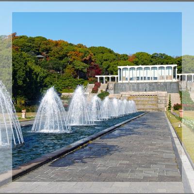 《同年代で朝謎に挑め！！》須磨離宮公園で謎解きコン