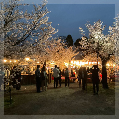 「祇園の夜桜」in円山公園この季節ならではの出会いをお届け♡