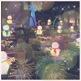 街はだんだんとクリスマスモードに…♡