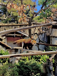 ＼動物で癒される♡in 横浜／同年代でグループ散策♪《動物園さんぽ》