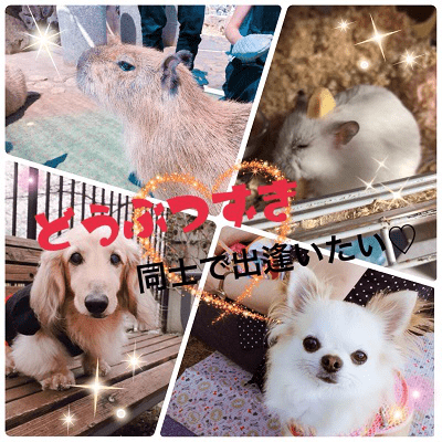「動物好き同士で出逢いたい♡」同年代の穏やかな男女編！