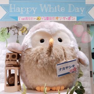 《ミーハー・にわかも参加OK！》ゆるオタ限定パーティー♡