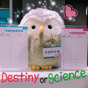あなたはどっちの赤い糸を信じる？