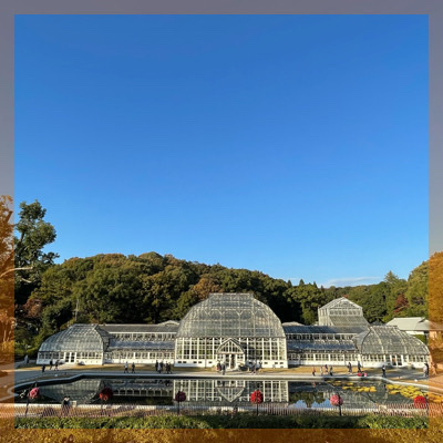 秋限定♡東山動植物園紅葉狩りツアー！