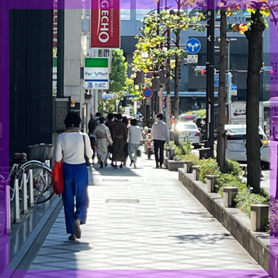 ✓安定した職業の男性 ✓コスモス園✓期間限定 ✓スタッフ同行無し ✓同年代