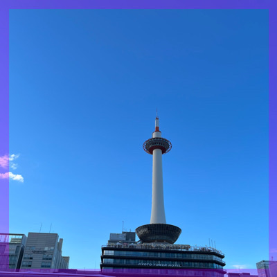 ✓紅葉お散歩 in 京都✓夜さんぽ　✓東寺　✓期間限定