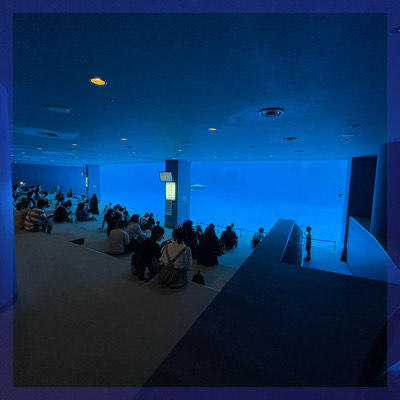 〜同年代〜神秘的な場所で恋が生まれる♡名古屋港水族館満喫コン！