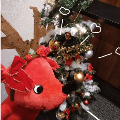 高カップリングのキャンドルパーティー🎅