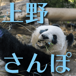 《お散歩コンin上野》アメ横で食べ歩き＆上野動物園でパンダに会おう♡
