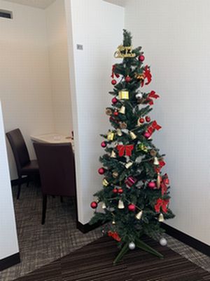 クリスマスツリー飾ってます🎄