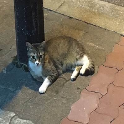 【写真あり】恋しちゃったんだ君に♪