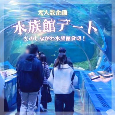＼女性満席／夜の水族館を完全貸切！
一夜限り・大迫力のイルカショーも開催！