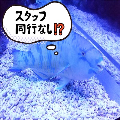 ＼すみだ水族館を満喫しよう！／王道デートコースでときめきたい男女♡
