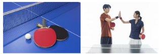 卓球