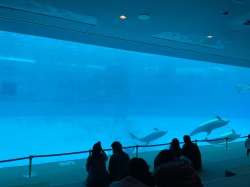 水族館