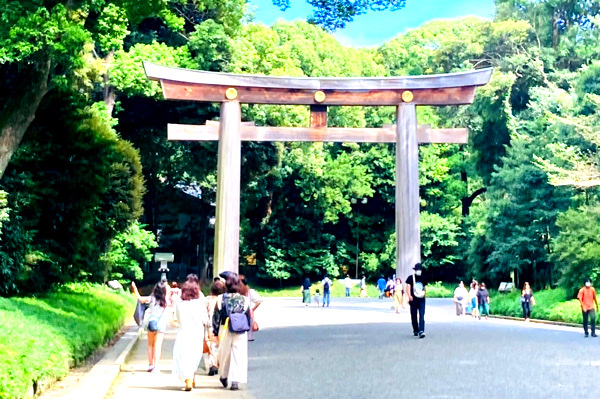 おさんぽで出会う
