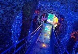 竹島