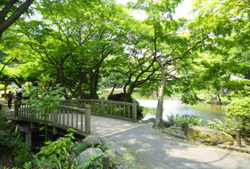 日比谷公園シングルマザーシングルファザーコン