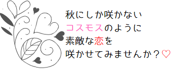 秋にしか咲かないコスモスのように素敵な恋を咲かせてみませんか？