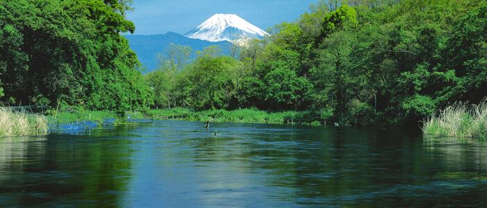 柿田川湧水