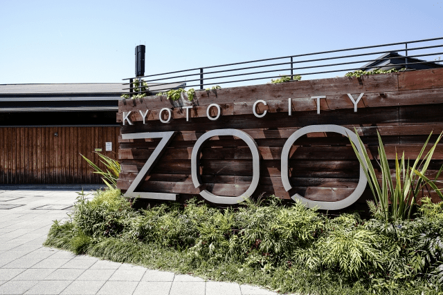 京都市動物園