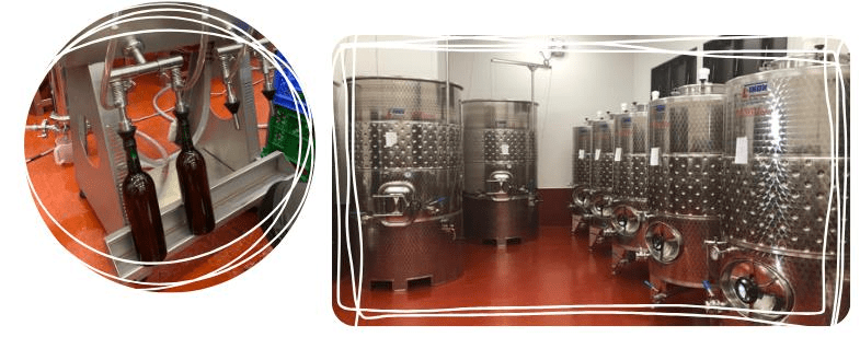 ワイナリー見学の様子