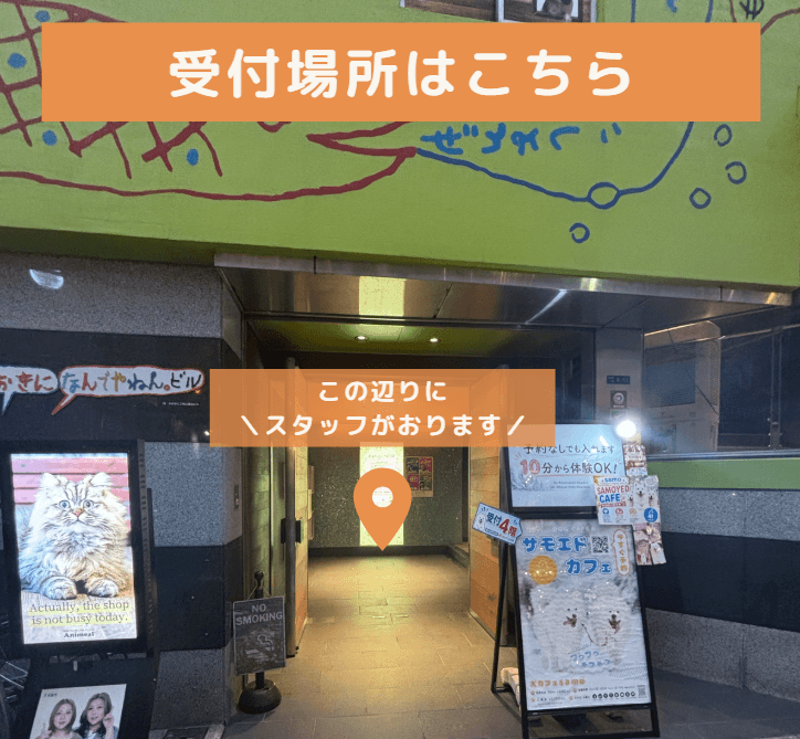 アニミル