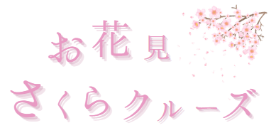 桜/お花見/春を感じる