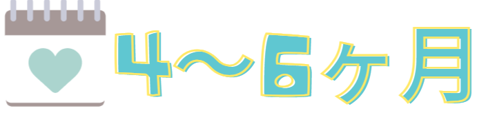 4～6ヶ月